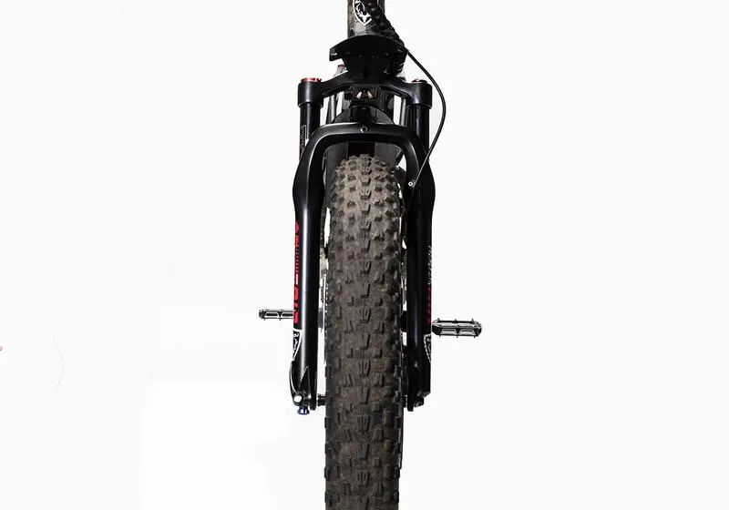 Bakcou E Bikes Storm G2 Electric Bikes | 48V 17.4Ah or 21Ah Lithium-Ion Battery | 300 lbs