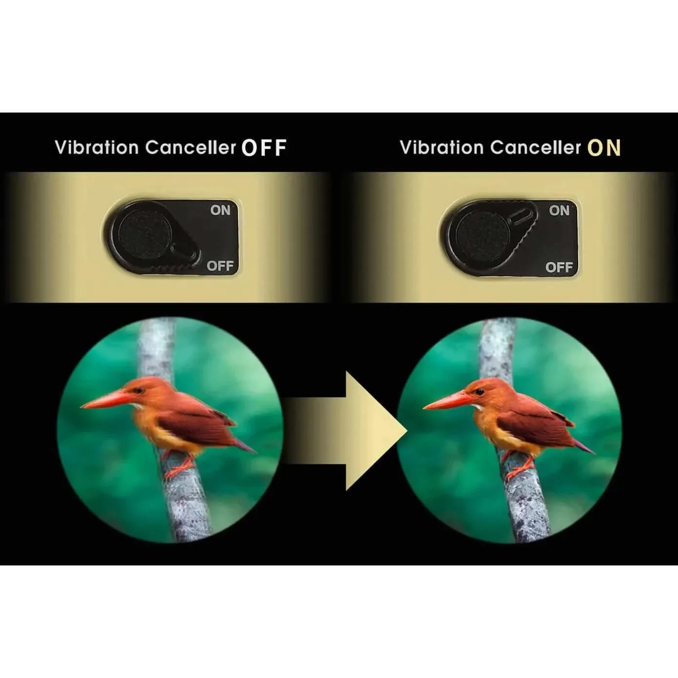 Vixen ATERA 12x30 Image Stabilized Binoculars